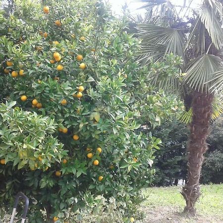 Bed and Breakfast Le Palme Chieti Esterno foto