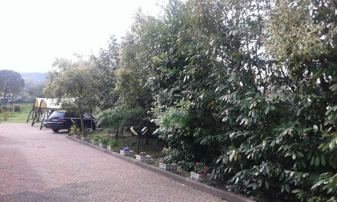 Bed and Breakfast Le Palme Chieti Esterno foto
